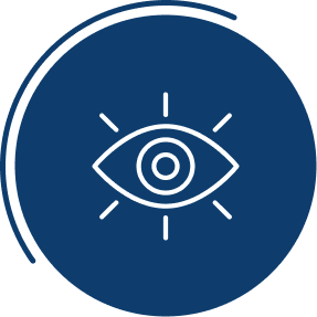 Vision icon
